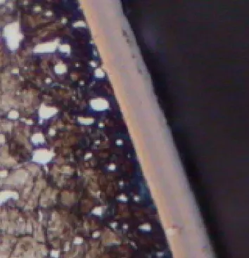 Surface coating sample 2