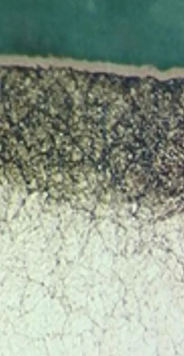 Surface coating sample 4